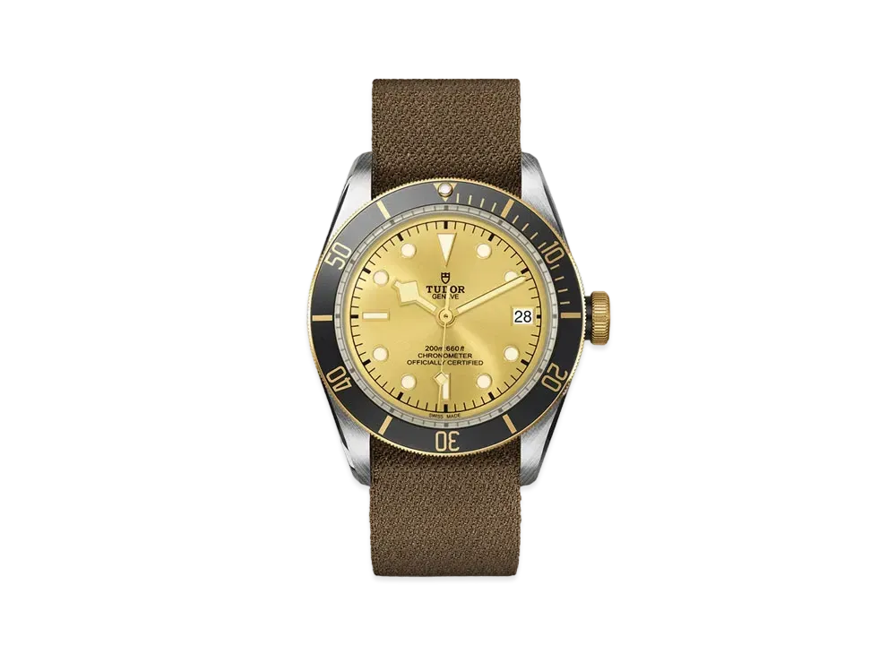 TUDOR BLACK BAY S&G