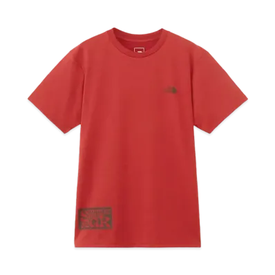 The North Face Short Sleeve Summit Peak Tee (Men's) "Iron Red"