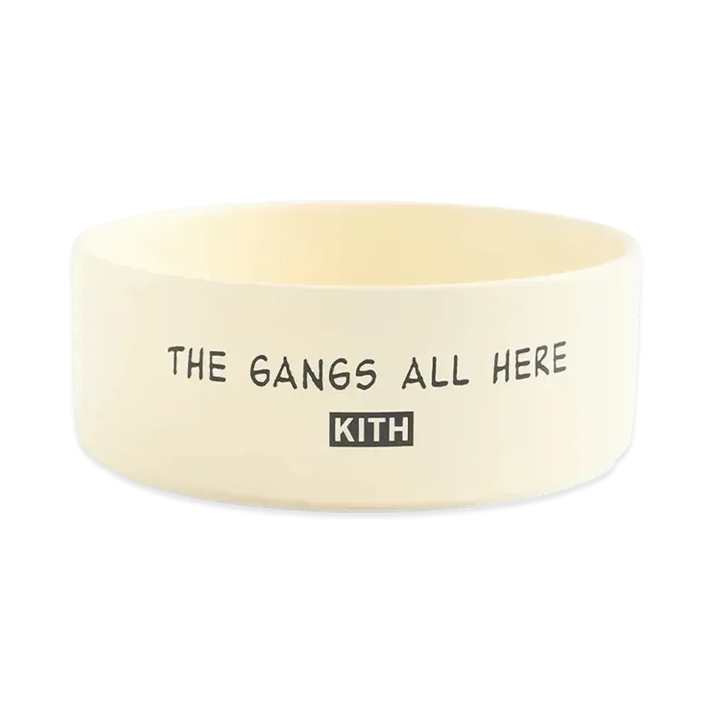 Kith x Peanuts Snoopy Dog Bowl "Sandrift"