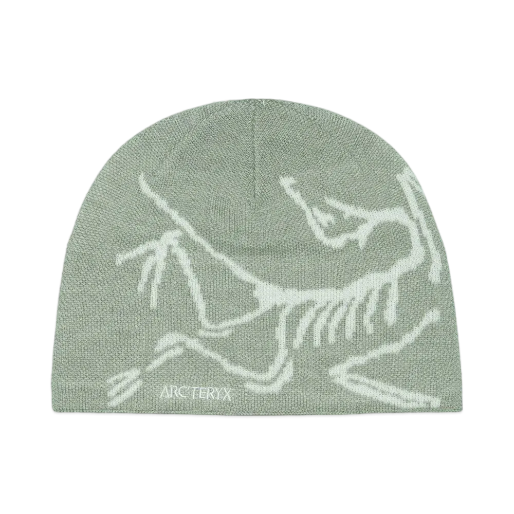 ARC'TERYX Bird Head Toque X000006756 "Habitat/Atmos"