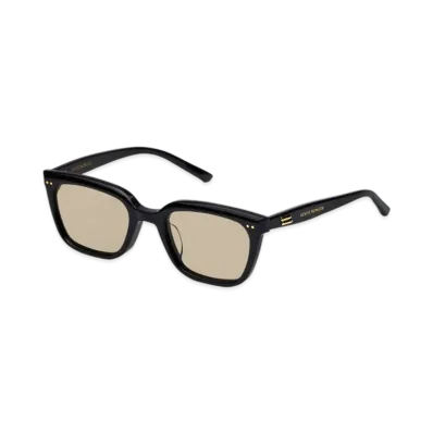 Gentle Monster Breezebe 01(BR) "Black/Brown"