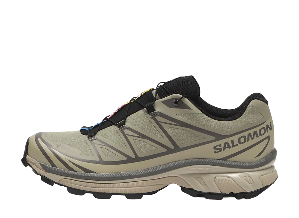 Salomon XT-6 GORE-TEX "White Pepper/Silver Sage/Dark Gull"