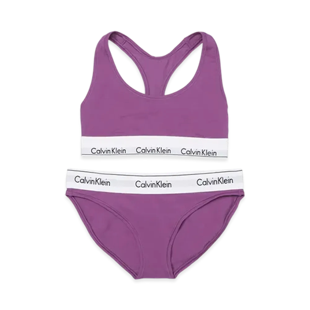 Calvin Klein Modern Cotton Shorts "Irisorchid"