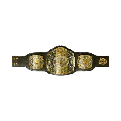 PRO WRESTLING NOAH 25th ANNIV \ GHC Heavy weight Championship Replica Belt "MULTI"