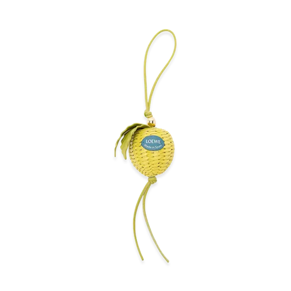 LOEWE Women's Accessories "Green"