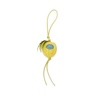 LOEWE Women's Accessories "Green"