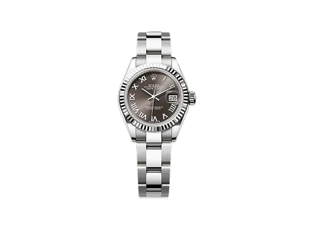 ROLEX Day-Date 40 White Gold "Brown"