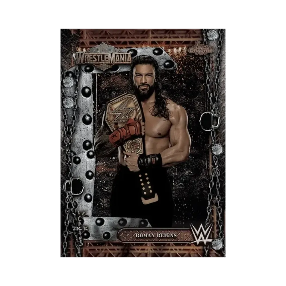 ローマンレインズ (トップスクローム WWE カクタスジャック X レッスルマニア)