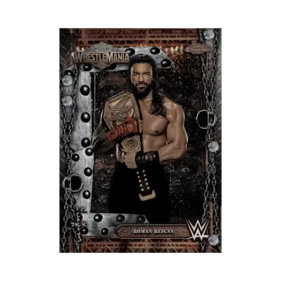 ローマンレインズ (トップスクローム WWE カクタスジャック X レッスルマニア)