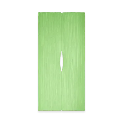 PLEATS PLEASE ISSEY MIYAKE Colorful Madame-T Small "Light Green"