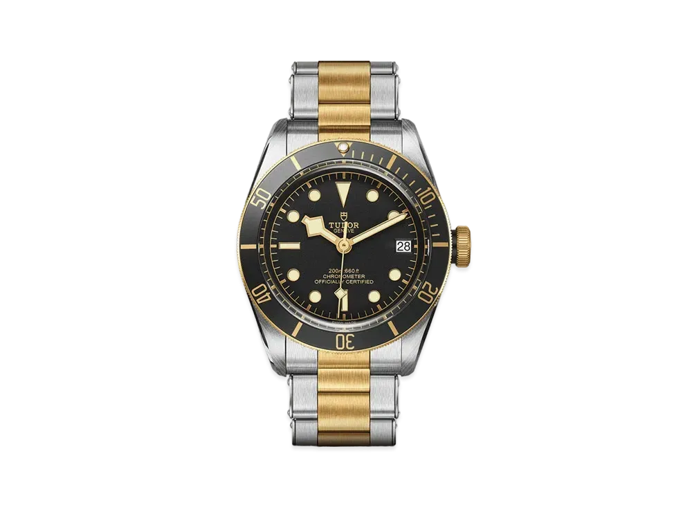 TUDOR BLACK BAY S&G