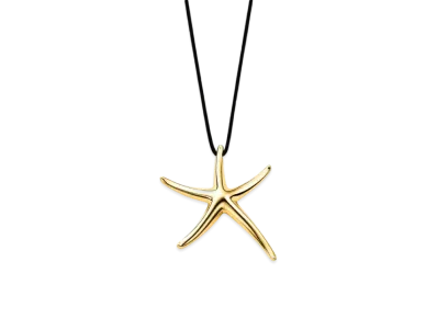 Tiffany & Co. Elsa Peretti Starfish Pendant 18K "Gold"
