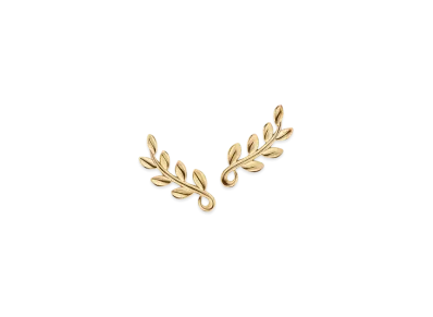 Tiffany & Co. Olive Leaf Climber Earrings "Gold"