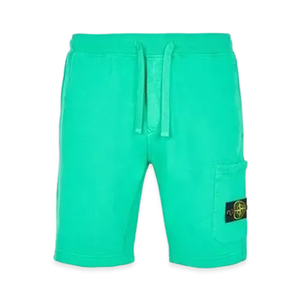 Stone Island 64620 BRUSHED COTTON FLEECE_REGULAR FIT "Green"