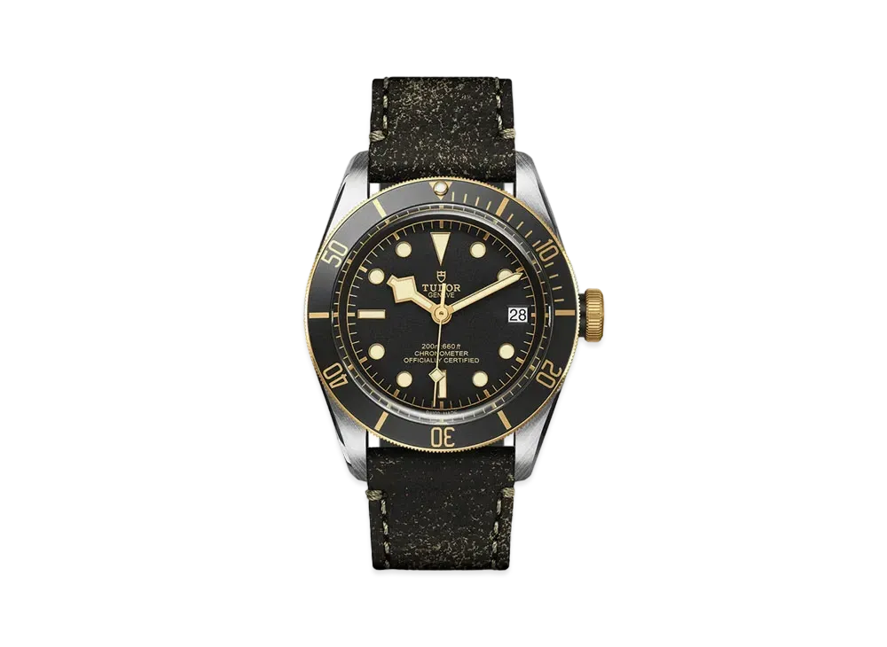 TUDOR BLACK BAY S&G