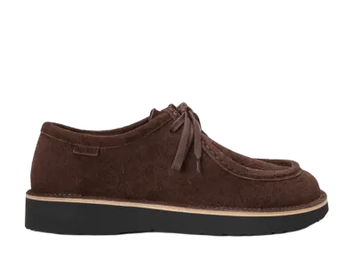 LOEWE Faro Lace-Up Suede Calfskin "Dark Brown"