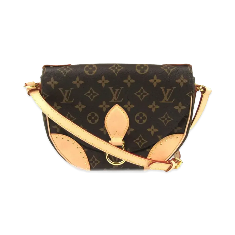 Louis Vuitton Saint Cloud "Brown"