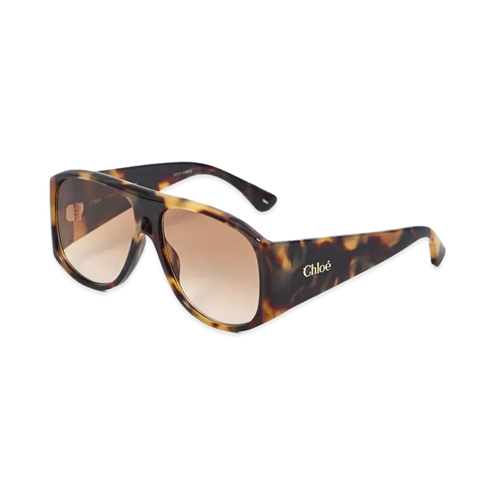 Chloe Women's Acetate Sunglasses "Brown"