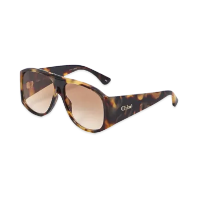 Chloe Women's Acetate Sunglasses "Brown"