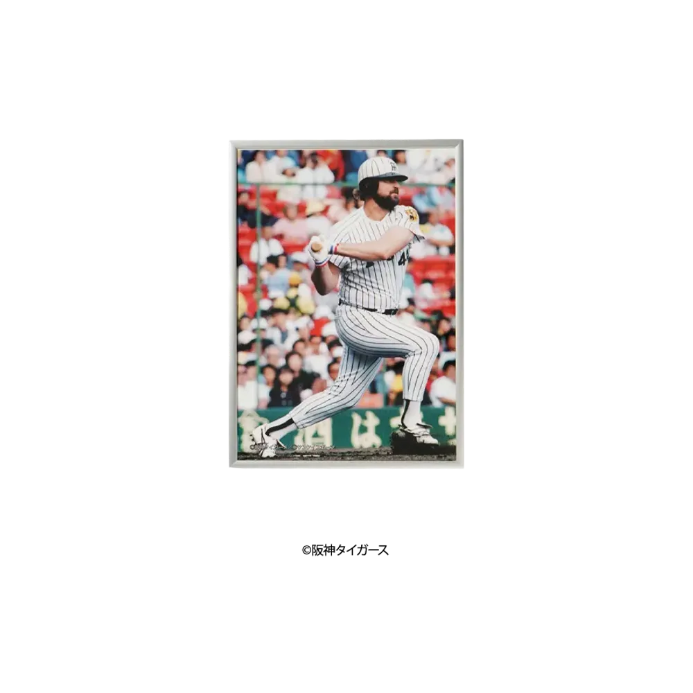 阪神タイガース90周年記念 \ SANKEI SPORTS TIGERS LEGENDS Photo Frame A3 ver. No.2 "MULTI"