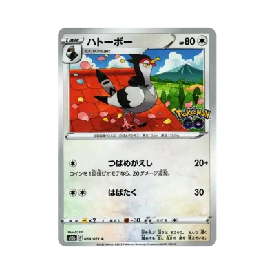 波波鴿