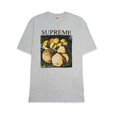 Supreme Still Life Tee "Grey"