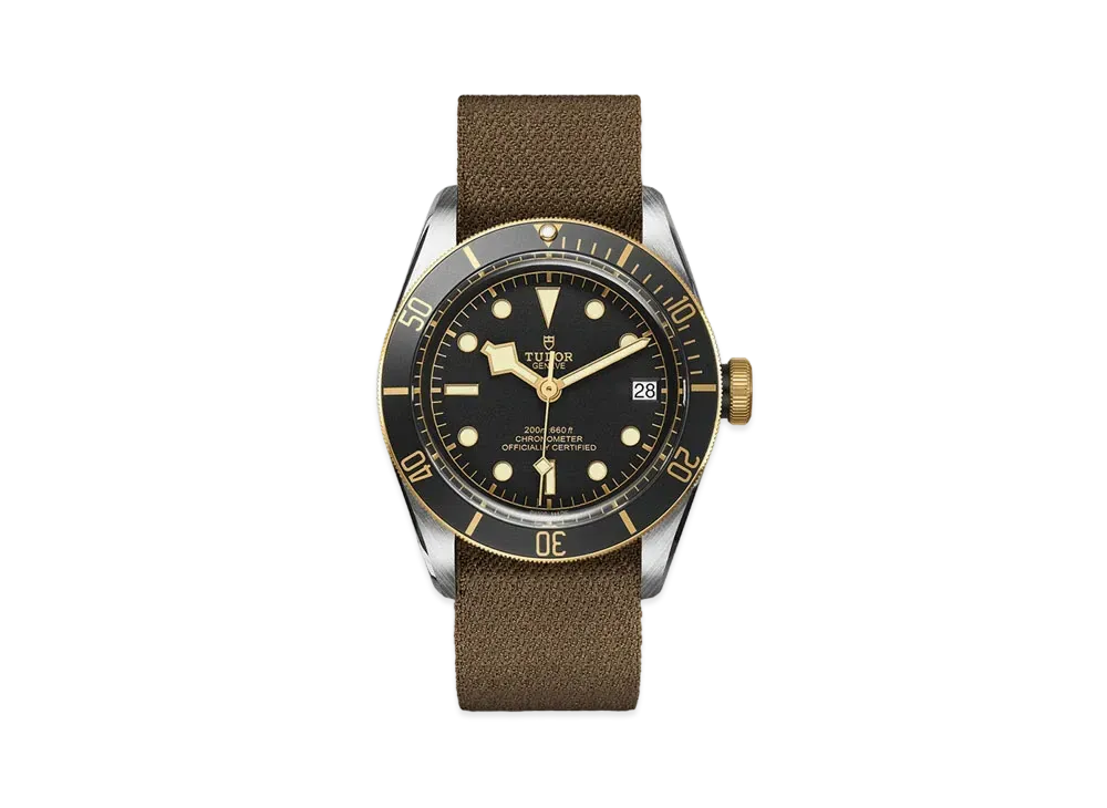 TUDOR BLACK BAY S&G