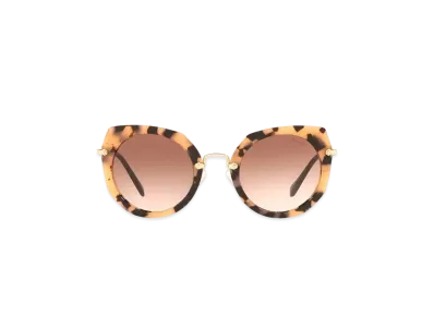 MIU MIU Artist Sunglasses "Mat Dark Brown Gradation Lens"