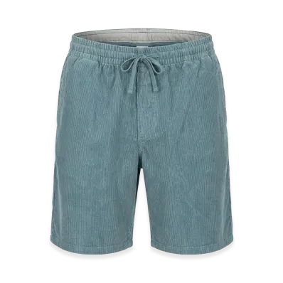 Patagonia Shorts "Blue"