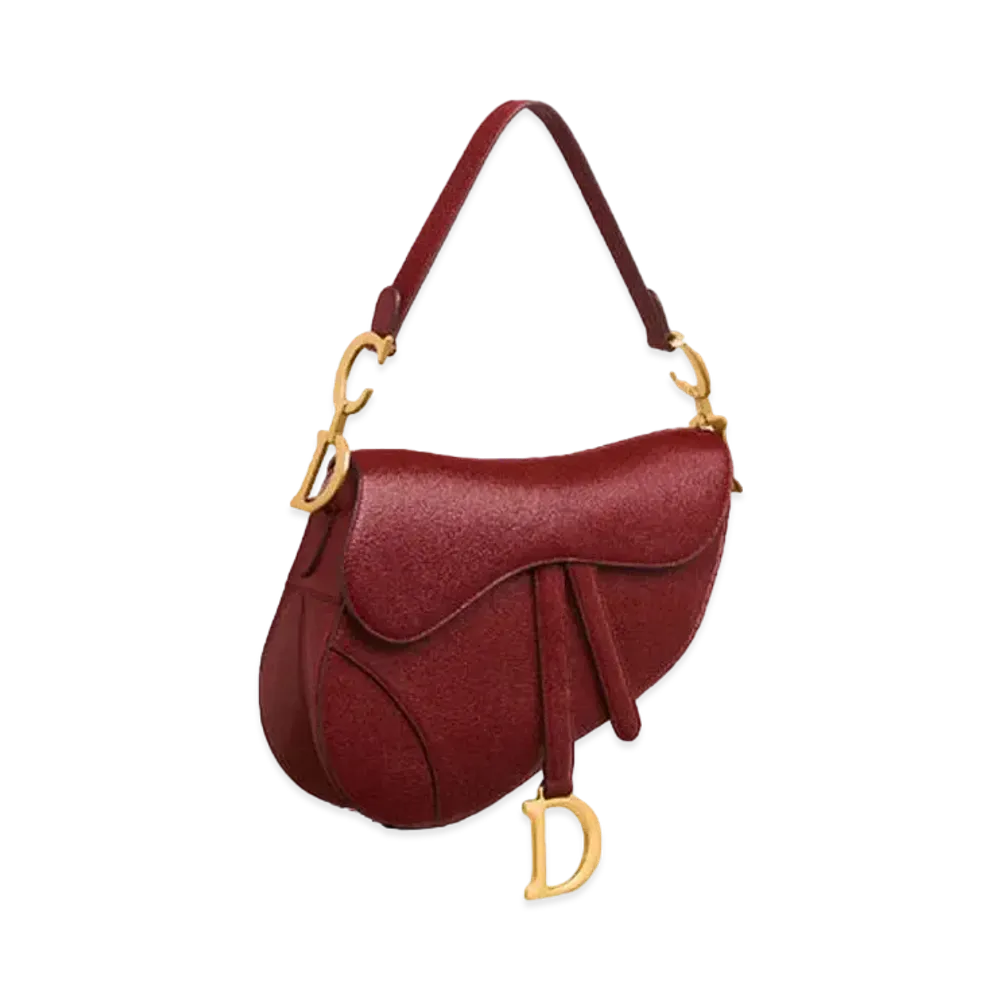 Dior Saddle Bag "Red"