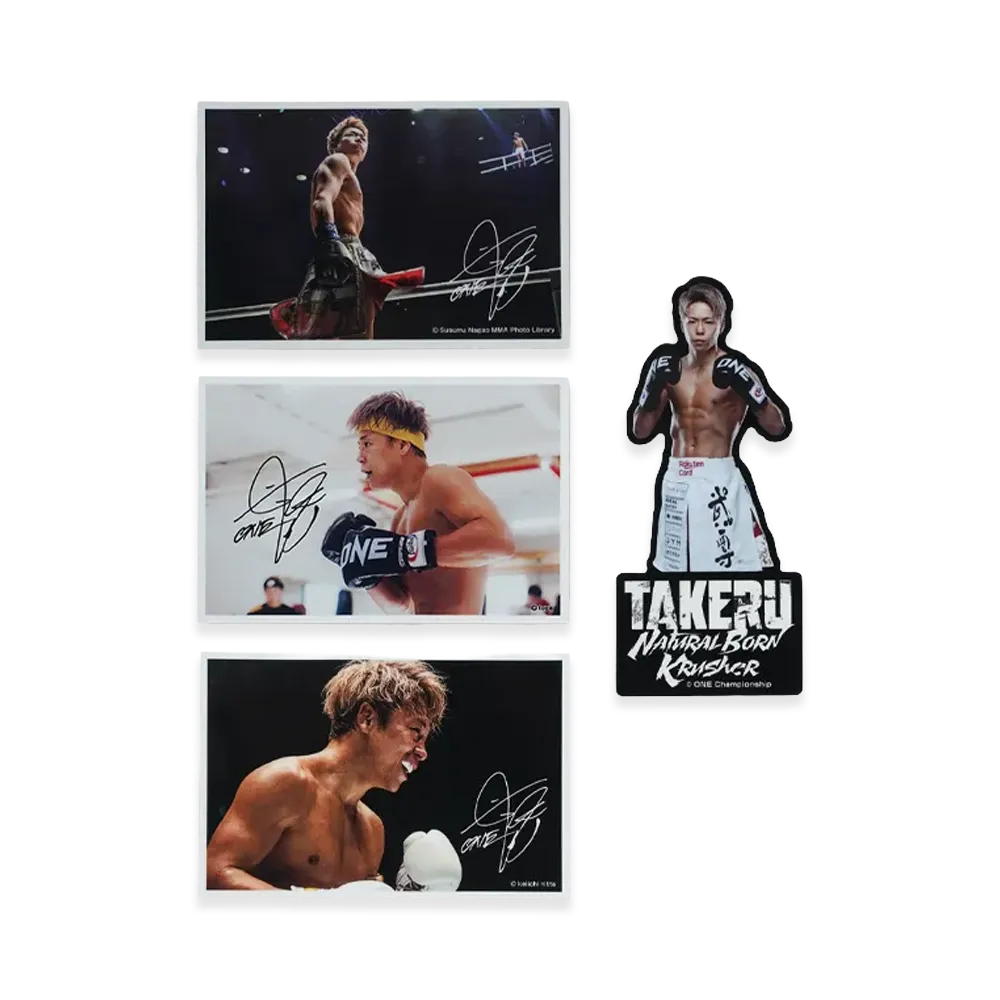 武尊 引退記念 \ TAKERU STICKER SET "MULTI"