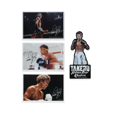 武尊 引退記念 \ TAKERU STICKER SET "MULTI"
