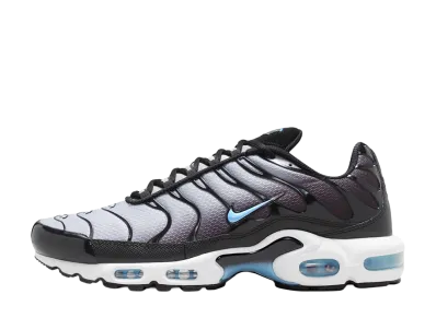 Nike Air Max Plus "Black/Light Smoke Grey"