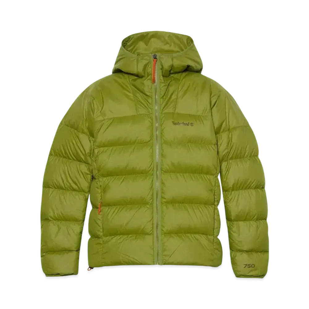 Timberland Men's Bear Head Super Goose Down Hooded Jacket "Guacamole"