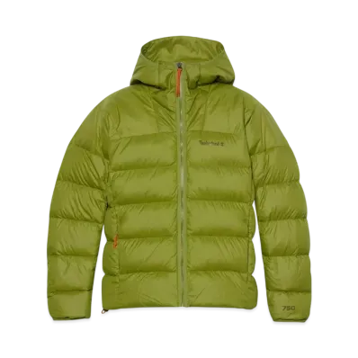 Timberland Men's Bear Head Super Goose Down Hooded Jacket "Guacamole"