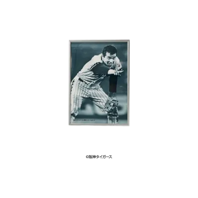 阪神タイガース90周年記念 \ SANKEI SPORTS TIGERS LEGENDS Photo Frame A4 ver. No.10 "MULTI"
