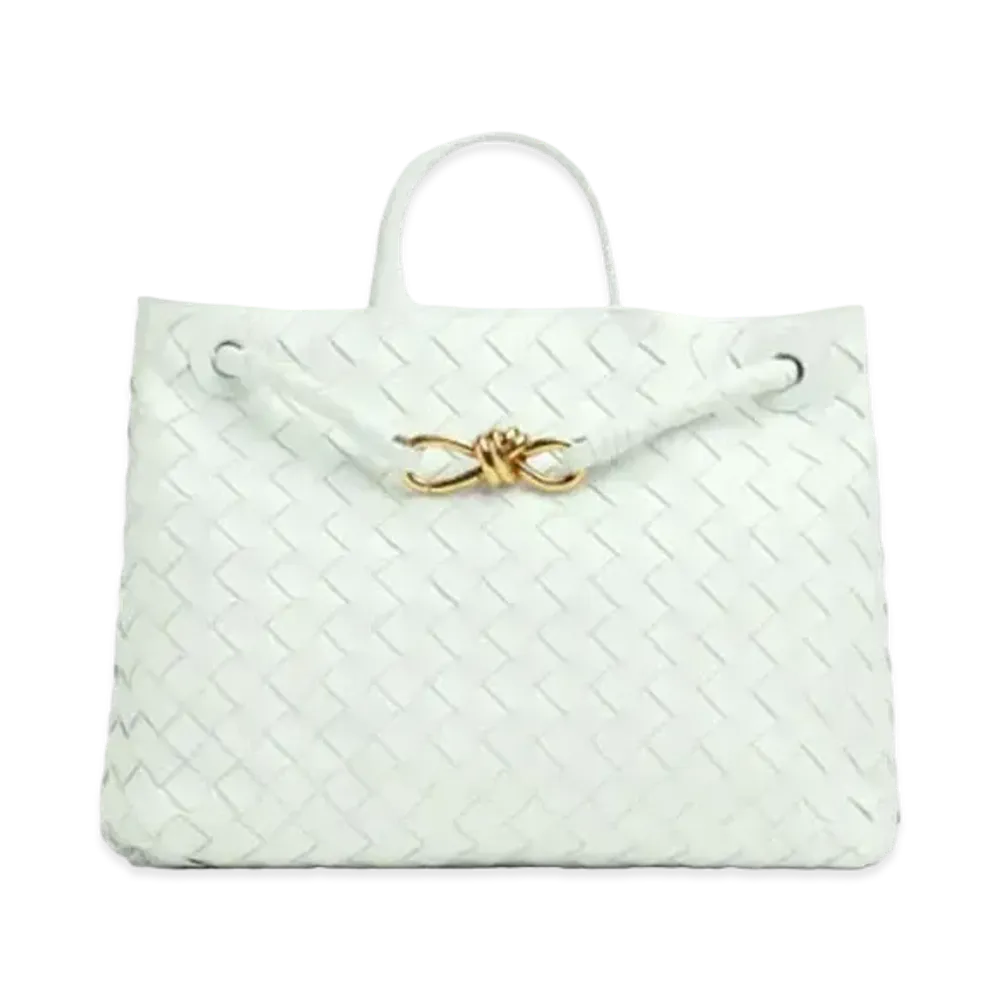 Bottega Veneta Andiamo Medium Hand Bag "Glacier"