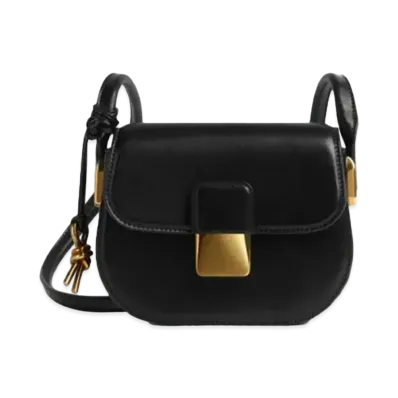 Bottega Veneta Mini Desiree Cassette Crossbody Bag "Black"