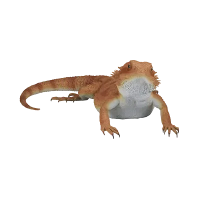 BANDAI "Ichiban Kuji" -Reptiles & Amphibians ~Tiny Friends~- A Prize Bearded Dragon Figure