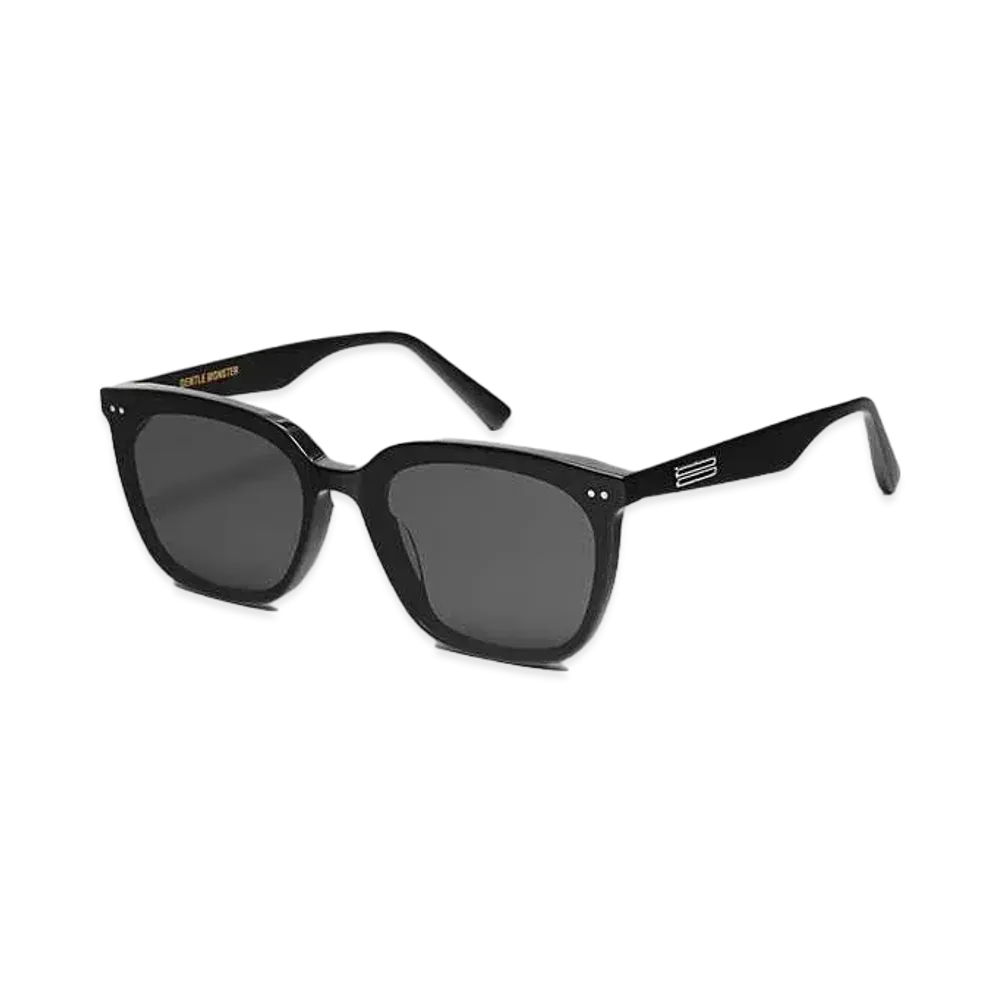 Gentle Monster Heizer 01 "Black"