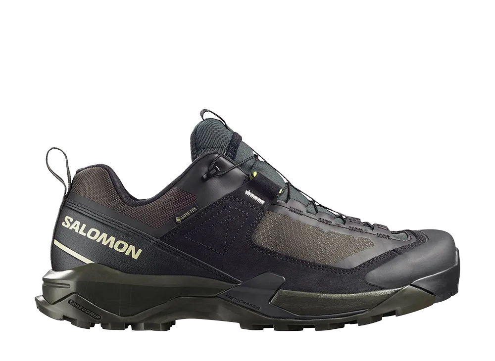 Salomon X Ultra Alpine GORE-TEX "Black/Peat"