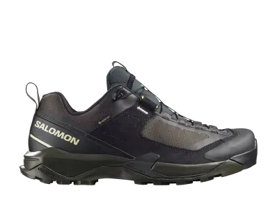 Salomon X Ultra Alpine GORE-TEX "Black/Peat"