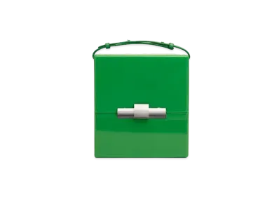 Bottega Veneta Daisey "Parakeet"