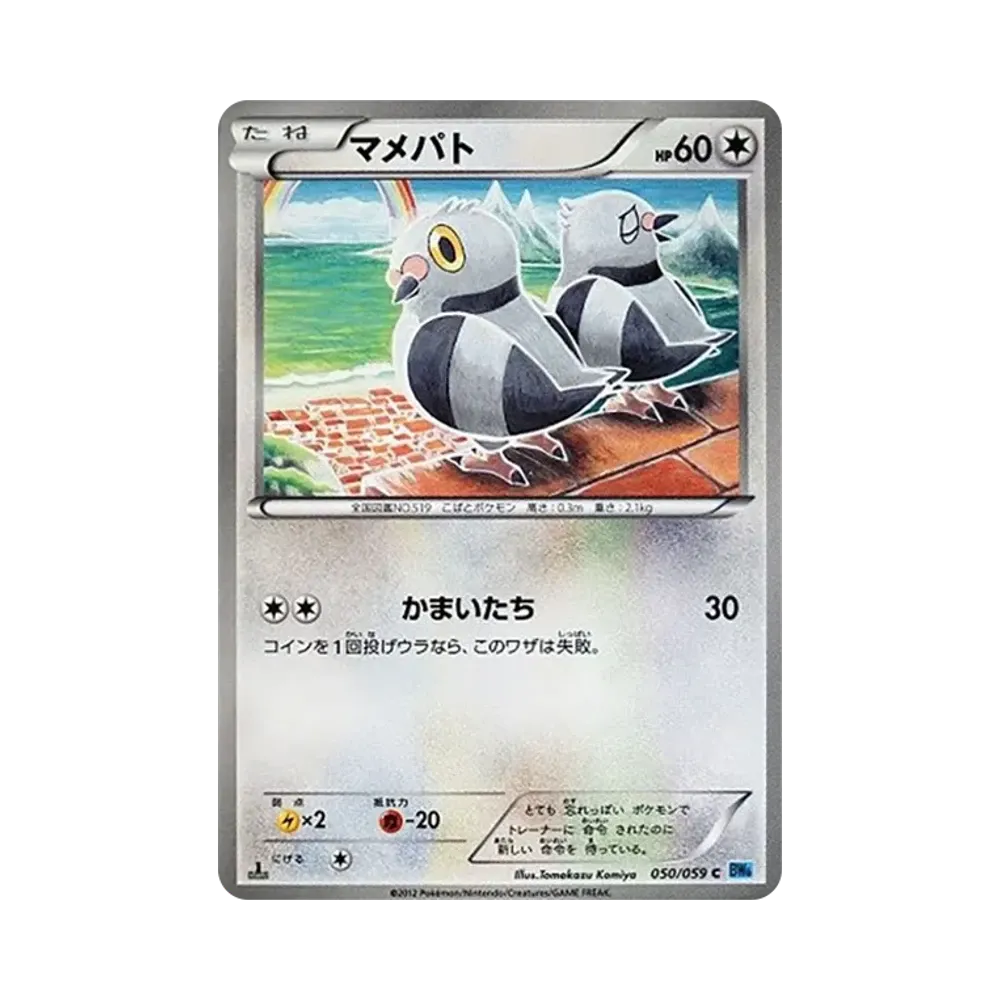 豆豆鴿