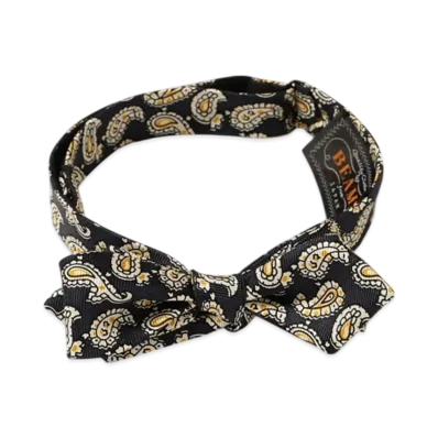 BEAMS Silk Bow Tie Paisley Print "Green"