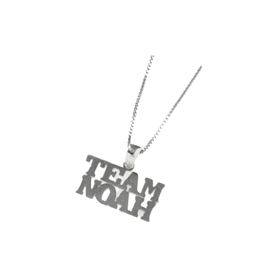 PRO WRESTLING NOAH 25th ANNIV \ 89xiitokyo TEAM SILVER NECKLACE "SILVER"