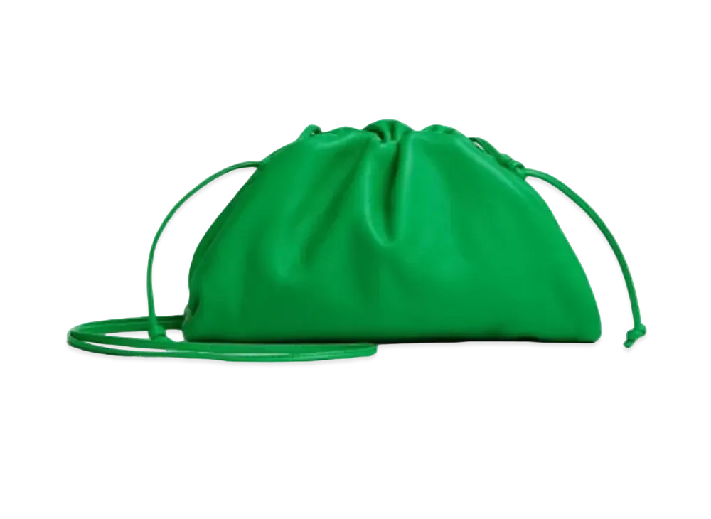 Bottega Veneta Mini Pouch "Parakeet"