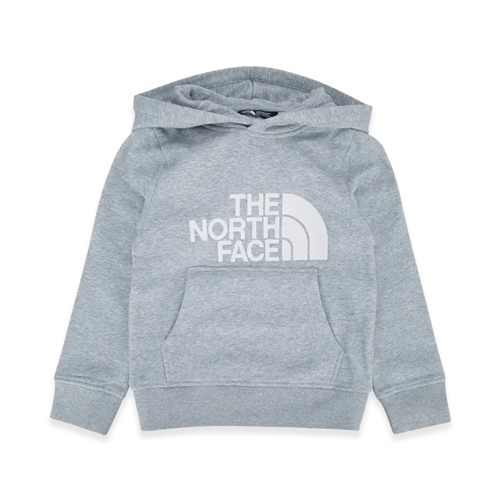 The North Face Kids Teen Drew Peak Pullover Hoodie "Gray"