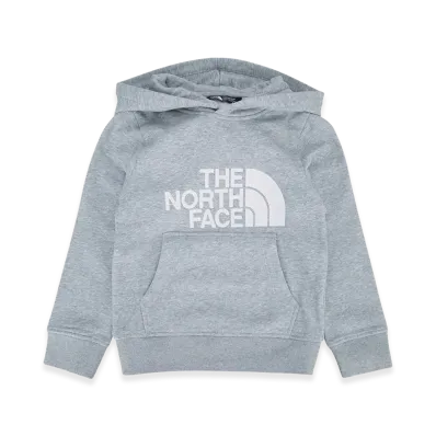 The North Face Kids Teen Drew Peak Pullover Hoodie "Gray"