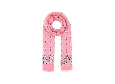 Saint Laurent Women's Foulard "Pink"
